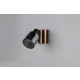 TRAVIA – R86531732 excl. 1x E14 · max. 40W TRIO