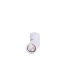 kinkiecik.pl Santos GU10 (white) AZ4200 AZZARDO