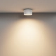 Lampa sufitowa Vega C089CL-15W3K-W Maytoni