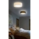 Plafon MILO BLACK AZ2317 AZARDO