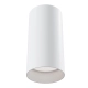 lafabryka.pl Plafon Alfa C010CL-01W Maytoni