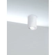 lafabryka.pl Plafon Alfa C016CL-01W Maytoni