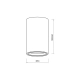 GENESIS SPOT WHITE 1xGU10 10cm ML0382 MILAGRO