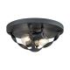 Plafon Bradbury – 2 źródła światła – Popielaty QZ-BRADBURY-F-GK Elstead Lighting