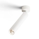 Kinkiet DARRIN R R14470 Rendl light studio