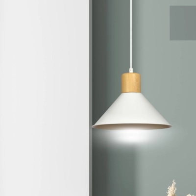 Lampa wisząca  ROWEN 1 WHITE 1045/1 EMIBIG