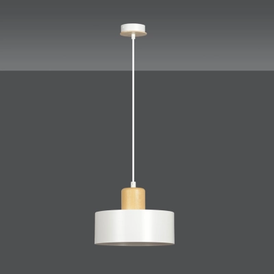 Lampa wisząca  TORIN 1 WHITE 1047/1 EMIBIG