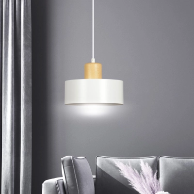 Lampa wisząca  TORIN 1 WHITE 1047/1 EMIBIG