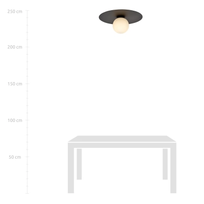 Lampa sufitowa  SOLAR 1 BLACK/OPAL 1127/1 EMIBIG