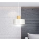 Lampa wisząca  TORIN 1 WHITE 1047/1 EMIBIG